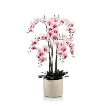 Kunstorchidee Phalaenopsis CECILE, Keramiktopf, rosa-pink, 100cm Kunstorchidee Phalaenopsis CECILE, Keramiktopf, rosa-pink, 100cm