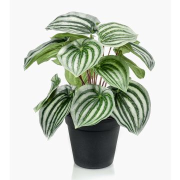 Kunst Pflanze Zwergpfeffer KEPANO, grün-weiß, 25cm