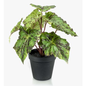 Kunstpflanze Blattbegonie MEIRA, grün-schwarz, 25cm
