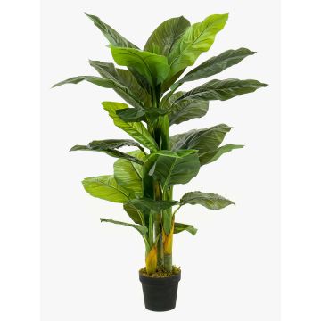 Kunstpflanze Spathiphyllum SIERO, grün, 130cm