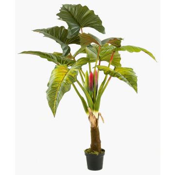 Künstliche Pflanze Colocasia SOTU, grün, 160cm