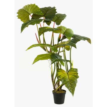 Künstliche Pflanze Colocasia SOTU, grün, 175cm