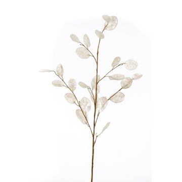 Kunstzweig Lunaria BUELNA, creme, 105cm Kunstzweig Lunaria BUELNA, creme, 105cm