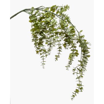 Eukalyptus Kunstzweig PINORO, grün, 120cm