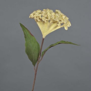 Textil Hahnenkamm BONARES, beige, 60cm, Ø14cm