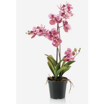 Kunstblume Vanda Orchidee CAMPO, rosa-pink, 60cm