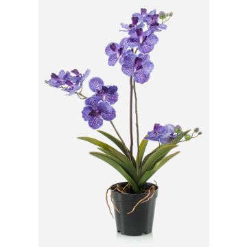 Kunstblume Vanda Orchidee CAMPO, violett, 60cm