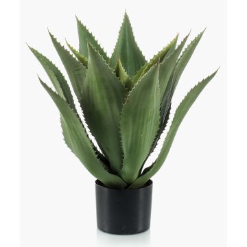 Künstliche Agave americana FERNANDA, grün, 55cm