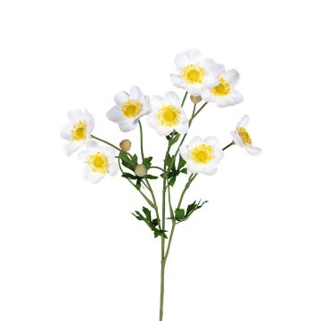 Dekozweig Anemone PIZORAN, weiß, 55cm Dekozweig Anemone PIZORAN, weiß, 55cm