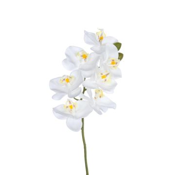Kunst Phalaenopsis Orchidee PUNIELA, weiß, 60cm Kunst Phalaenopsis Orchidee PUNIELA, weiß, 60cm