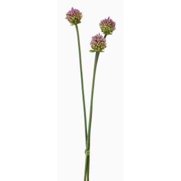 Kunstblumen Allium Blüten Bund LAMDA, violett-grün, 65cm, Ø4cm
