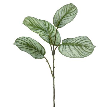 Kunstzweig Calathea Orbifolia ALNIYAT, grün-weiß, 75cm
