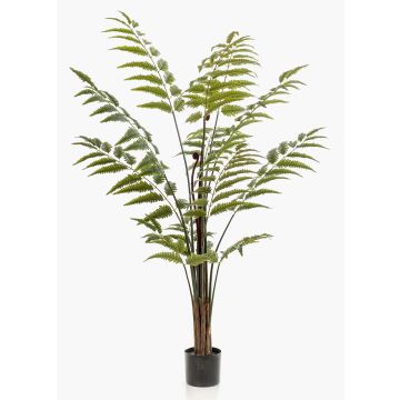 Kunstbaum Lederfarn ANKOCA, grün, 150cm