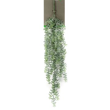 Kunstpflanze Sukkulente Rhipsalis Hänger TUREIS, Steckstab, grün-grau, 70cm