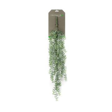 Kunstpflanze Sukkulente Rhipsalis Hänger TUREIS, Steckstab, grün-grau, 70cm