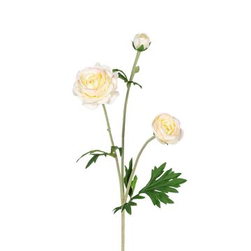Dekozweig Ranunkel RETIANNE, creme-rosa, 65cm Dekozweig Ranunkel RETIANNE, creme-rosa, 65cm