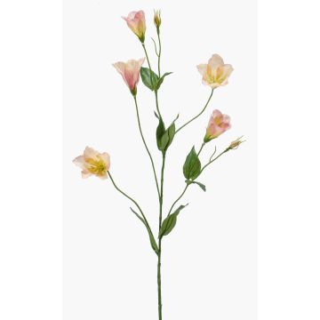 Unechte Blume Lisianthus PAZAN, rosa-creme, 70cm, Ø3-5cm