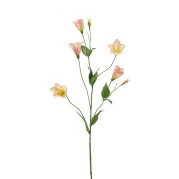 Unechte Blume Lisianthus PAZAN, rosa-creme, 70cm, Ø3-5cm