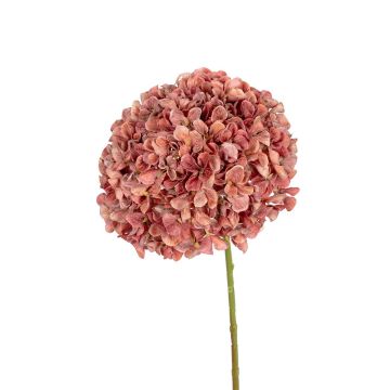 Dekoblume Hortensie SABIOLA, koralle, 65cm Dekoblume Hortensie SABIOLA, koralle, 65cm