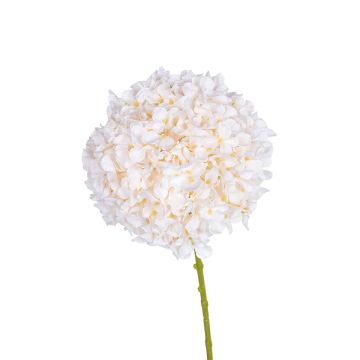 Dekoblume Hortensie SABIOLA, creme, 65cm