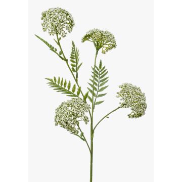 Kunstzweig Schafgarbe THUBAN, creme, 60cm, Ø6-7cm