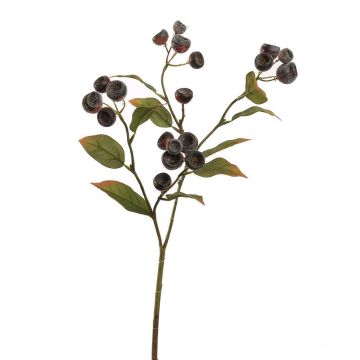 Deko Zweig Wollmispel CARLASIA, Früchte, schwarz-rot, 65cm