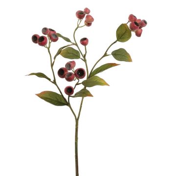 Deko Zweig Wollmispel CARLASIA, Früchte, rot, 65cm