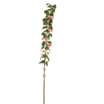 Deko Zweig Zierapfel GALENYA, Früchte, rosa-pfirsich, 135cm Deko Zweig Zierapfel GALENYA, Früchte, rosa-pfirsich, 135cm