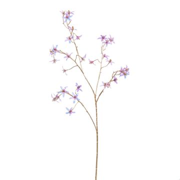 Deko Zweig Tweedia solanoides HESORIA mit Blüten, glamour-lila-blau-gold, 75cm Deko Zweig Tweedia solanoides HESORIA mit Blüten, glamour-lila-blau-gold, 75cm