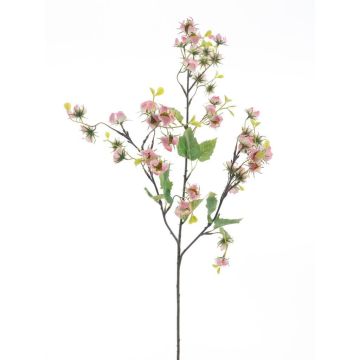 Deko Zweig Physalis LISSANEL mit Früchten, rosa, 90cm Deko Zweig Physalis LISSANEL mit Früchten, rosa, 90cm