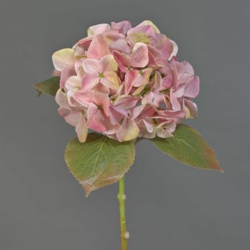 Kunstblume Hortensie AMARILDO, rosa-gelb, 50cm, Ø16cm