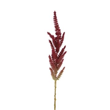 Künstliche Blume Astilbe SANDILLA, dunkelrot, 75cm Künstliche Blume Astilbe SANDILLA, dunkelrot, 75cm