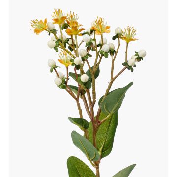 Deko Zweig Johanniskraut CANNO mit Blüten, Früchte, gelb-weiß, 65cm, Ø3cm