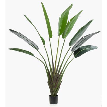 Künstlicher Baum der Reisenden DARCEL, grün, 180cm