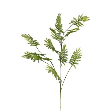 Dekozweig Mimose SAVERIN, grün, 135cm