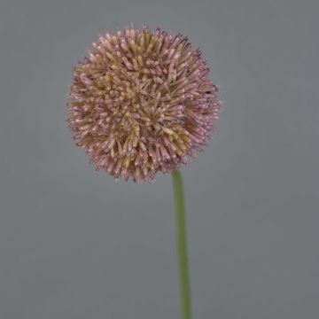Allium künstlich NATASHA, lila, 65cm, Ø10cm
