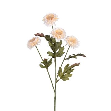 Dekozweig Chrysantheme SEILAMA, creme, 60cm Dekozweig Chrysantheme SEILAMA, creme, 60cm