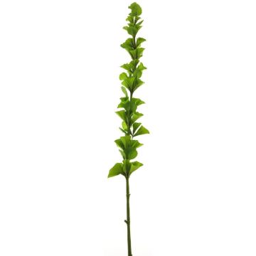 Dekoblume Muschelblume PINWAN, grün, 105cm Dekoblume Muschelblume PINWAN, grün, 105cm