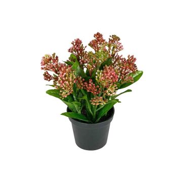 Künstliche Blume Skimmie SETTENA im Dekotopf, dunkelrosa, 16cm