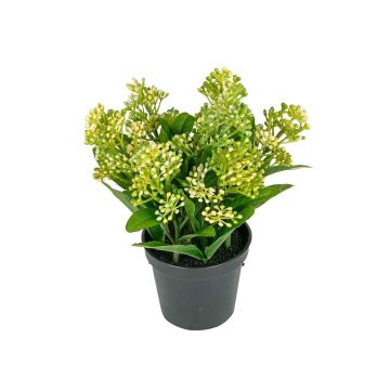 Künstliche Blume Skimmie SETTENA im Dekotopf, grün, 16cm