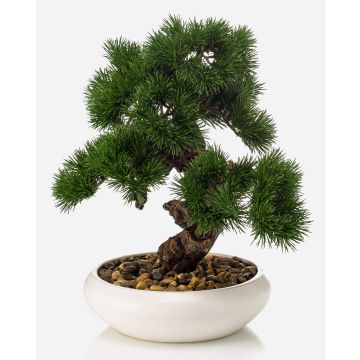 Künstlicher Bonsai Pinie MIRSANDA in Bonsaischale, 35cm
