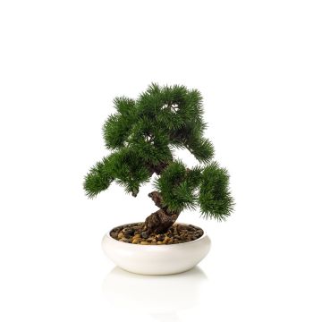Künstlicher Bonsai Pinie MIRSANDA in Bonsaischale, 35cm
