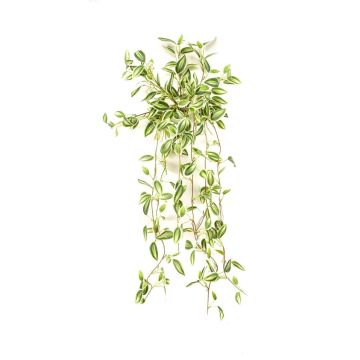 Kunstpflanze Tradescantia zebrina DIHALLO auf Steckstab, hängend, grün-weiß, 70cm