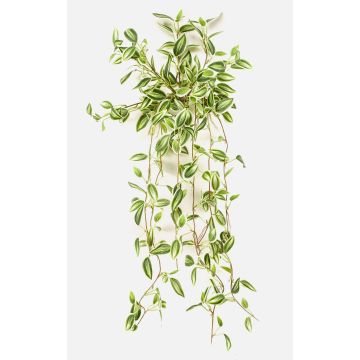 Kunstpflanze Tradescantia zebrina DIHALLO auf Steckstab, hängend, grün-weiß, 70cm