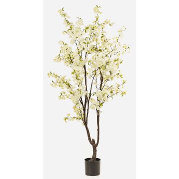 Kirschblütenbaum künstlich JANKFUN mit Blüten, Kunststamm, weiß, 210cm