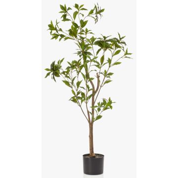 Künstlicher Baum Teepflanze GUSHON, Kunststamm, grün, 120cm