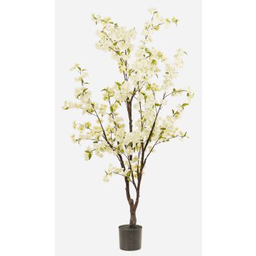 Kirschblütenbaum künstlich JANKFUN mit Blüten, Kunststamm, weiß, 175cm