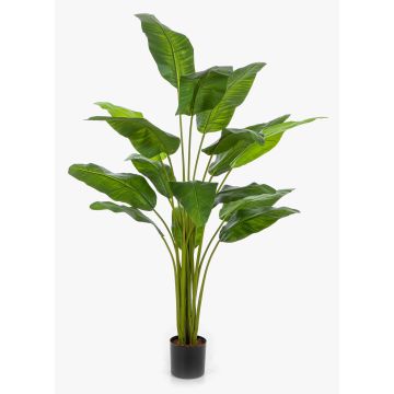 Kunst Baum der Reisenden COSINO, 170cm