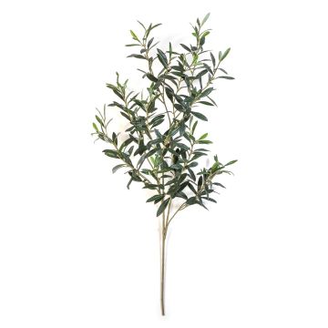 Künstlicher Olivenzweig LORRIS, schwer entflammbar, grün, 110cm