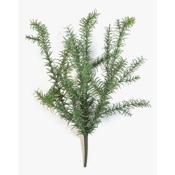 Kunstbusch Rosmarin SKYLO auf Steckstab, crossdoor, grün, 60cm Kunstbusch Rosmarin SKYLO auf Steckstab, crossdoor, grün, 60cm